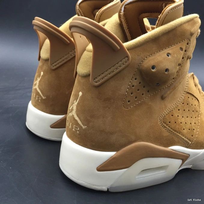 Retro Harvest" 6 AllSeason 384664- 1107 Jordan "Golden Air 1231